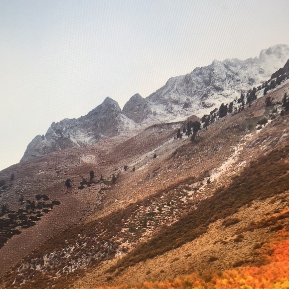 Meet your Posher, Caroline - Picture 1 of 1